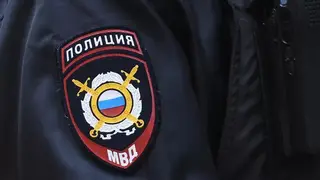 В Красноярске задержан наркозакладчик, ранее избивший щенка в лифте