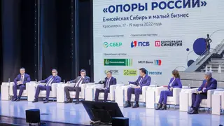 Для социальных предпринимателей Красноярского края появятся новые меры поддержки