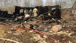 В Уярском районе чиновница заплатит штраф за пожар из-за выжигания сухой травы