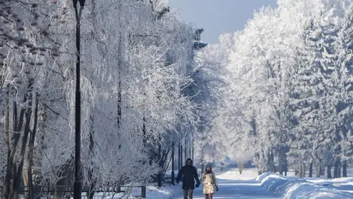 В Томской области 18 человек пострадали от морозов в первую рабочую неделю 2023 года