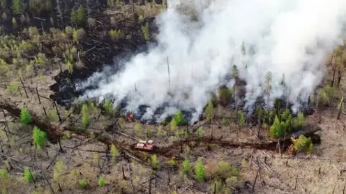 Огнеборцы за сутки ликвидировали девять лесных пожаров в Хабаровском крае