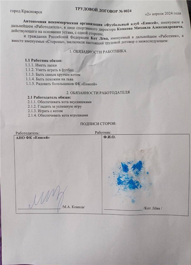 Подписанный с котом контракт. Фото: Фото: t.me/EniseyFC