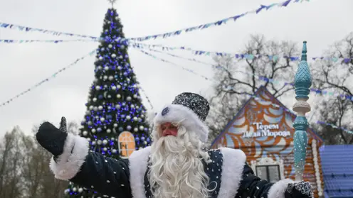 В Красноярске около катка на Стрелке открылся домик Деда Мороза
