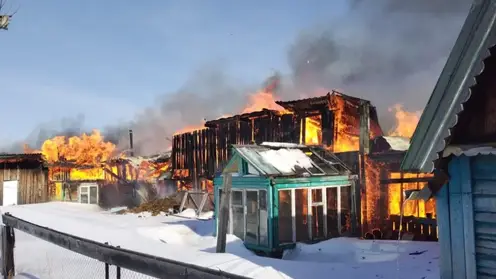Пожарные спасли из задымленного дома женщину с ребенком в Бирилюсском районе Красноярского края