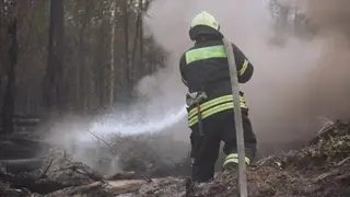 В Алтайском крае пожароопасный сезон стартует 12 апреля
