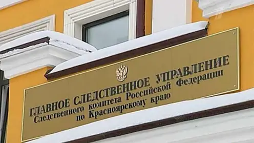 В Красноярске завершено расследование уголовного дела в отношении сотрудницы налоговой службы и бывшего полицейского