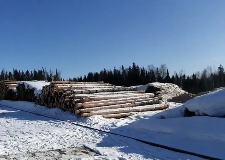Контрабанду около четырех тысяч кубометров лесоматериалов пресекли в Красноярском крае