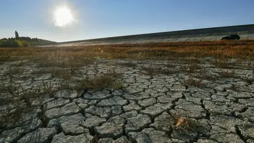В Алтайском крае введён режим ЧС  из-за сильной засухи