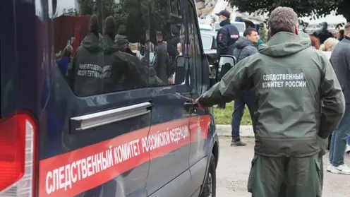 В Новосибирске следователи заинтересовались матерью, избивавшую свою дочь
